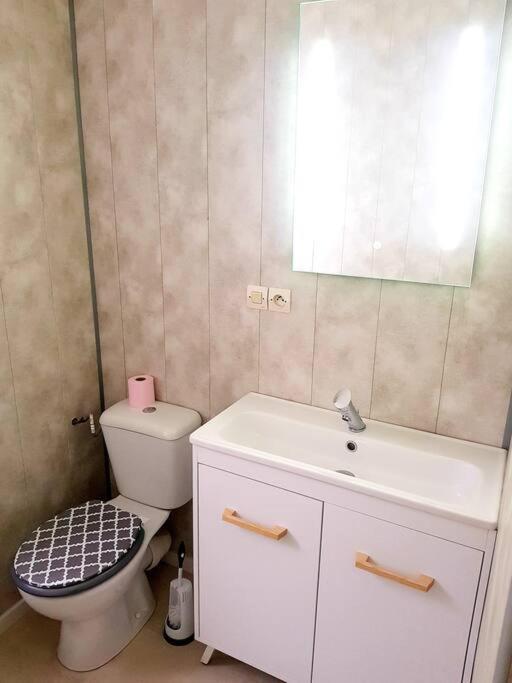 Le Jeanne 4/6 Couchages, Wifi, Sanctuaire Apartment Lourdes Ngoại thất bức ảnh